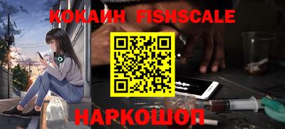 индика Камышлов