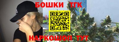 индика Камышлов