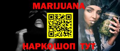 индика Камышлов
