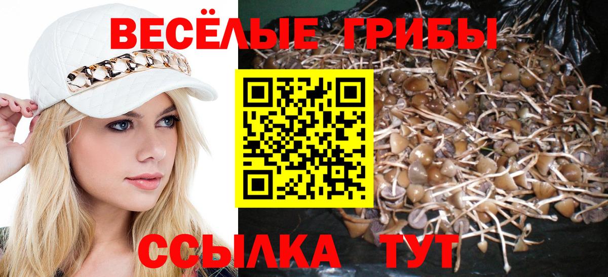 Псилоцибиновые грибы MAGIC MUSHROOMS  Галлюциногенные грибы Cubensis  Вход с VPN  Лениногорск 