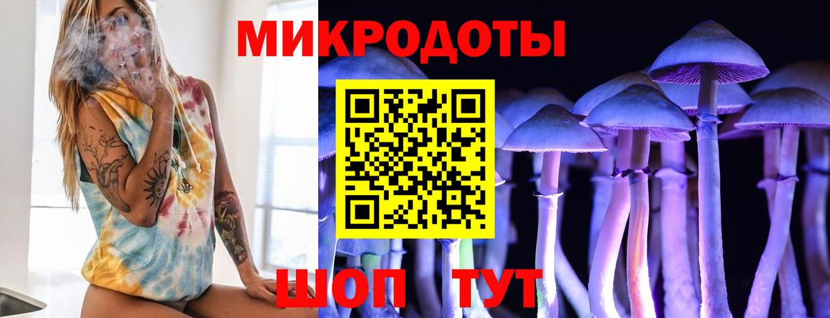 Псилоцибиновые грибы Psilocybe Лениногорск